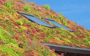 Handforth living roof systems