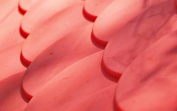 Handforth plastic roof costs